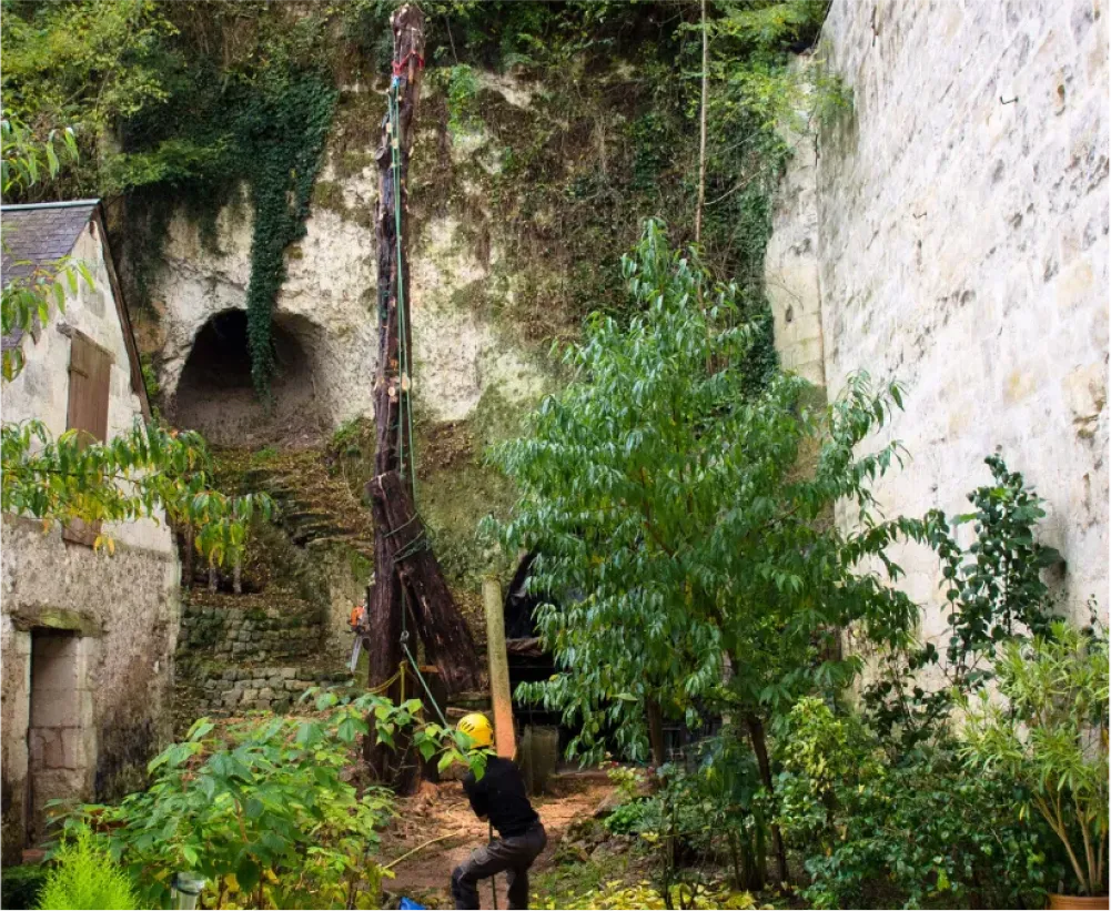 Auriau Elagage Elagueur Dans La Sarthe 72 Abattage 01