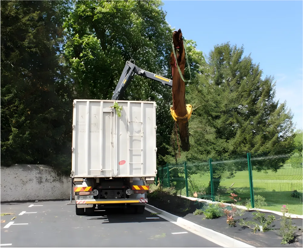 Auriau Elagage Elagueur Dans La Sarthe 72 Evacuation Des Coupes 01