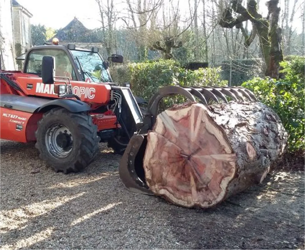 Auriau Elagage Elagueur Dans La Sarthe 72 Evacuation Des Coupes 02