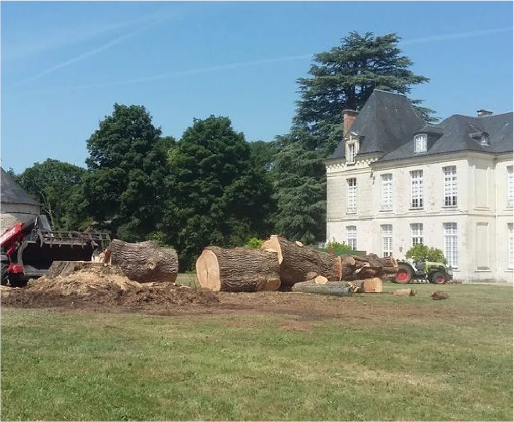 Auriau Elagage Elagueur Dans La Sarthe 72 Evacuation Des Coupes 03