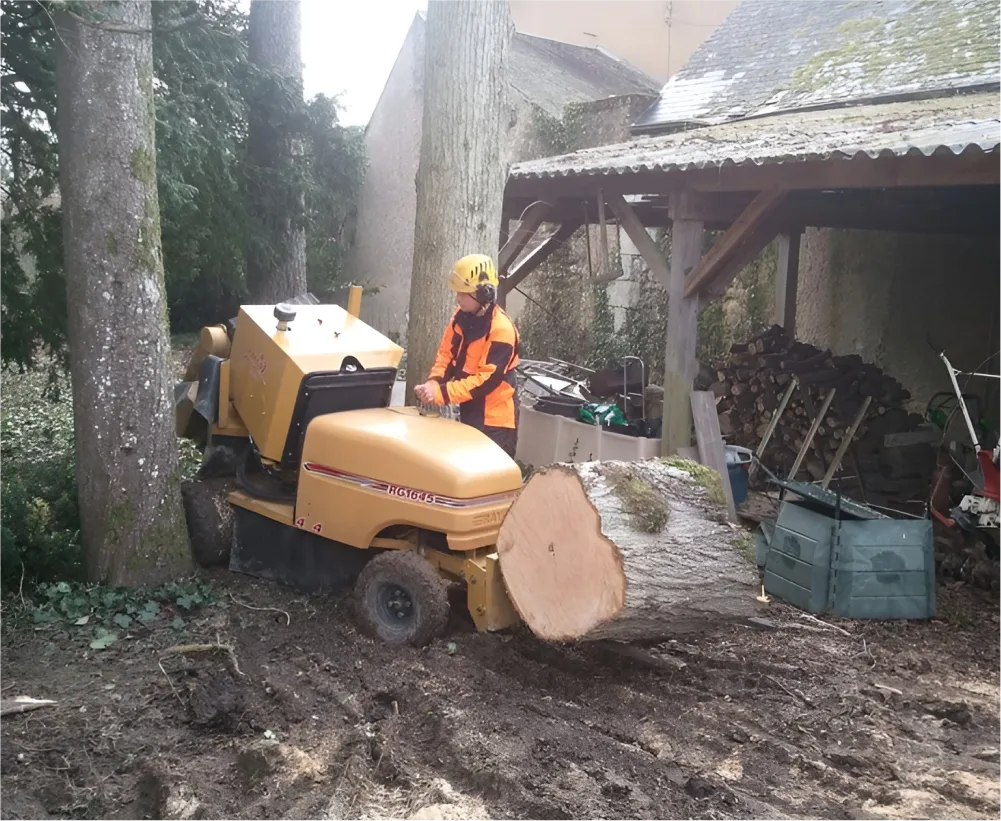 Auriau Elagage Elagueur Dans La Sarthe 72 Evacuation Des Coupes 04