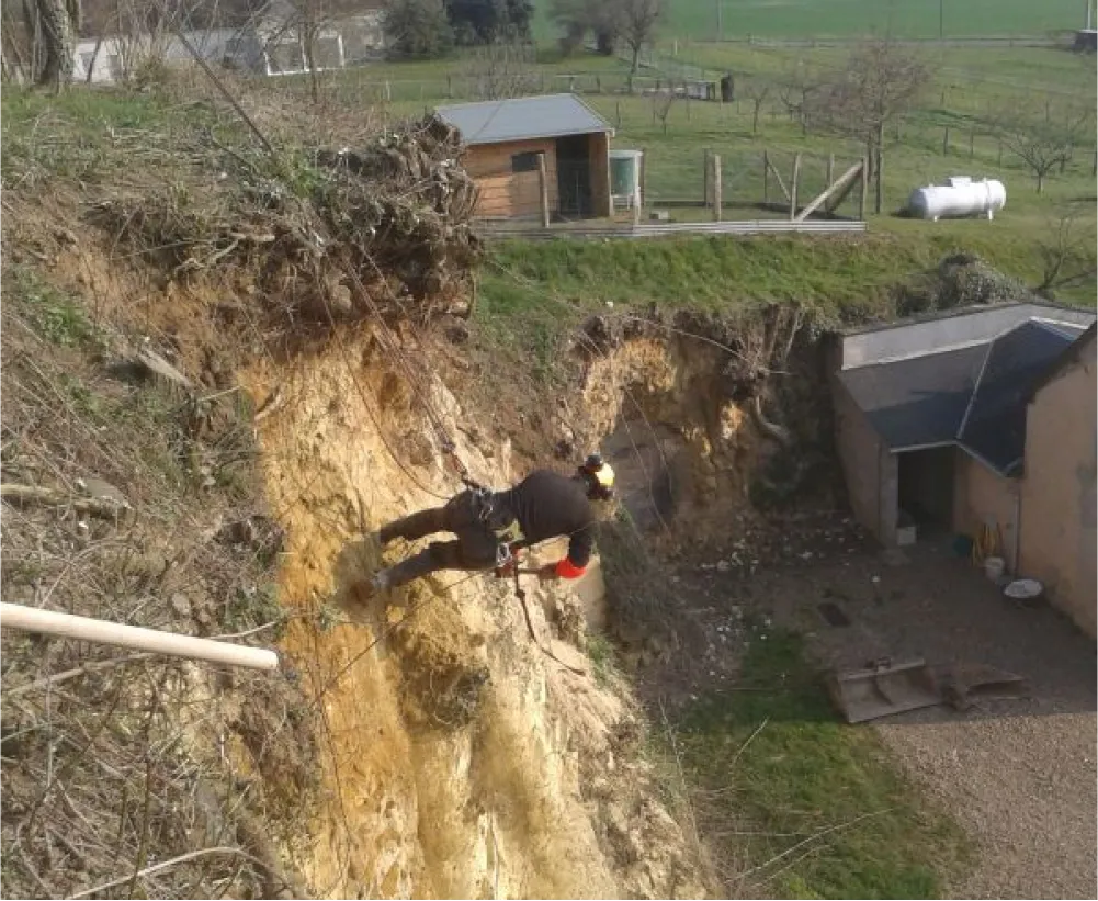 Auriau Elagage Elagueur Dans La Sarthe 72 Galerie Photos 05
