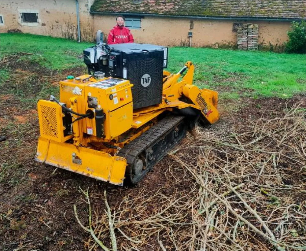 Auriau Elagage Elagueur Dans La Sarthe 72 Galerie Photos 06