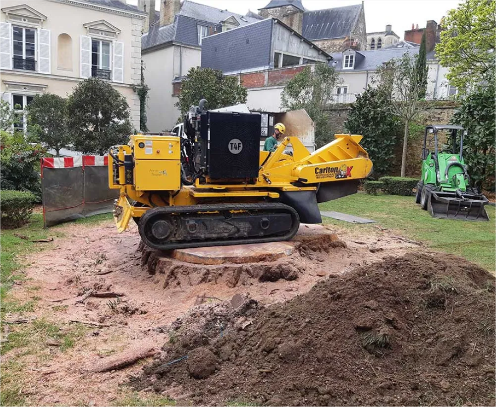 Auriau Elagage Elagueur Dans La Sarthe 72 Rognage De Souches 01