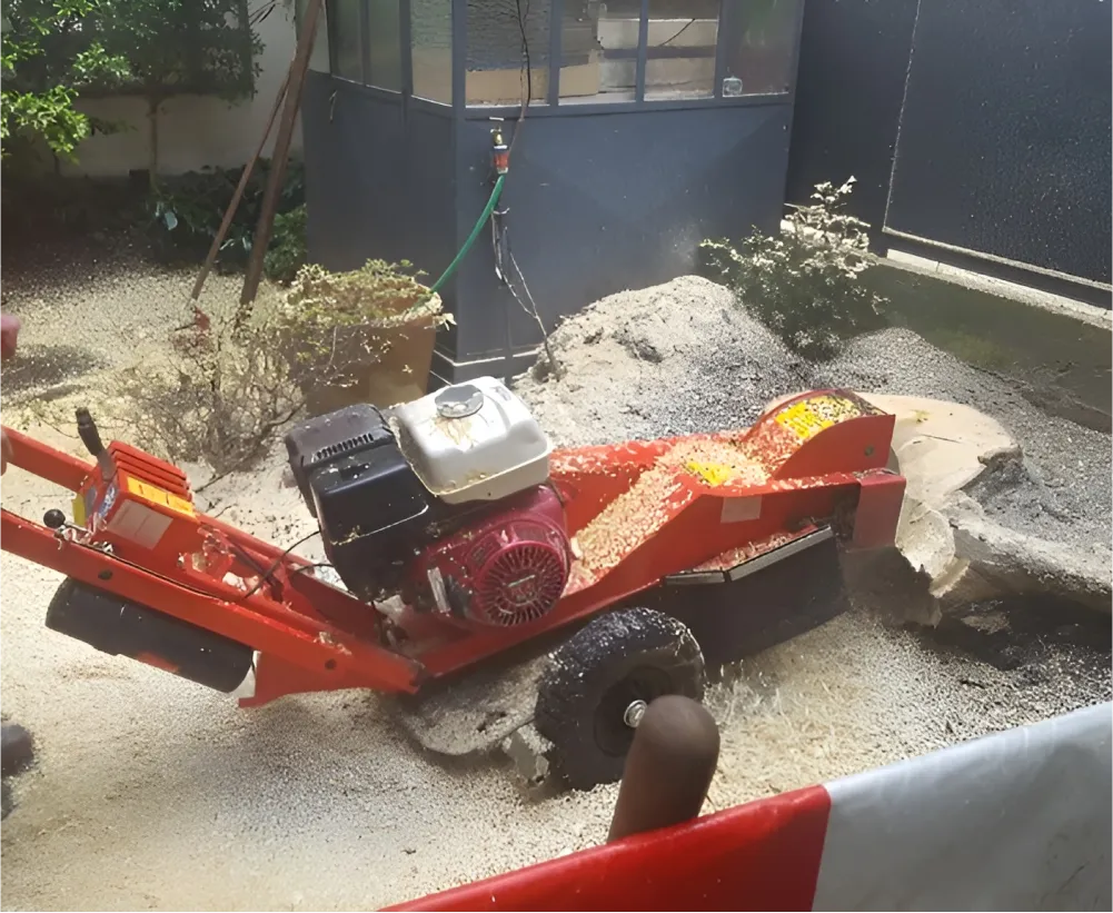 Auriau Elagage Elagueur Dans La Sarthe 72 Rognage De Souches 02