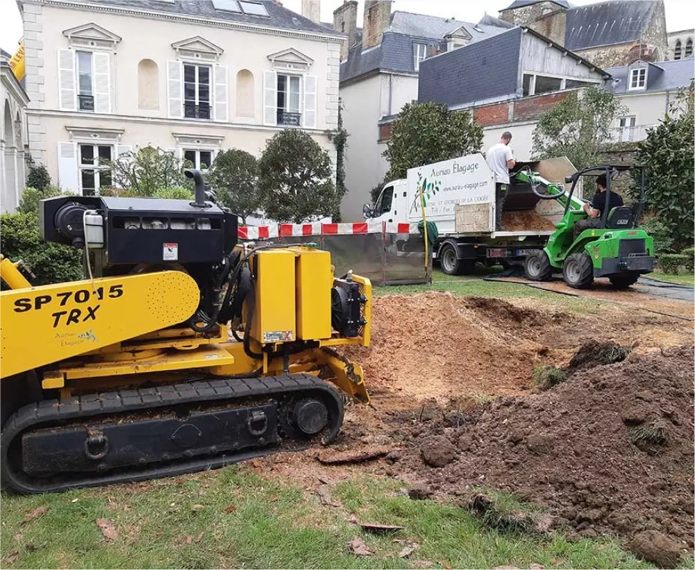Auriau Elagage Elagueur Dans La Sarthe 72 Rognage De Souches 03