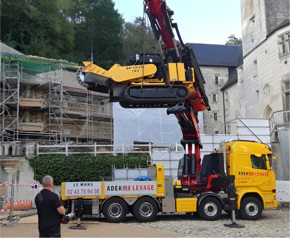 Auriau Elagage Elagueur Dans La Sarthe 72 Rognage De Souches 04