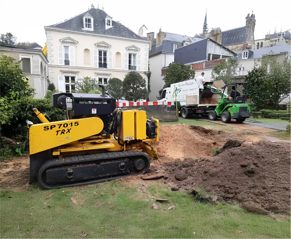 Auriau Elagage Elagueur Dans La Sarthe 72 Rognage De Souches 05