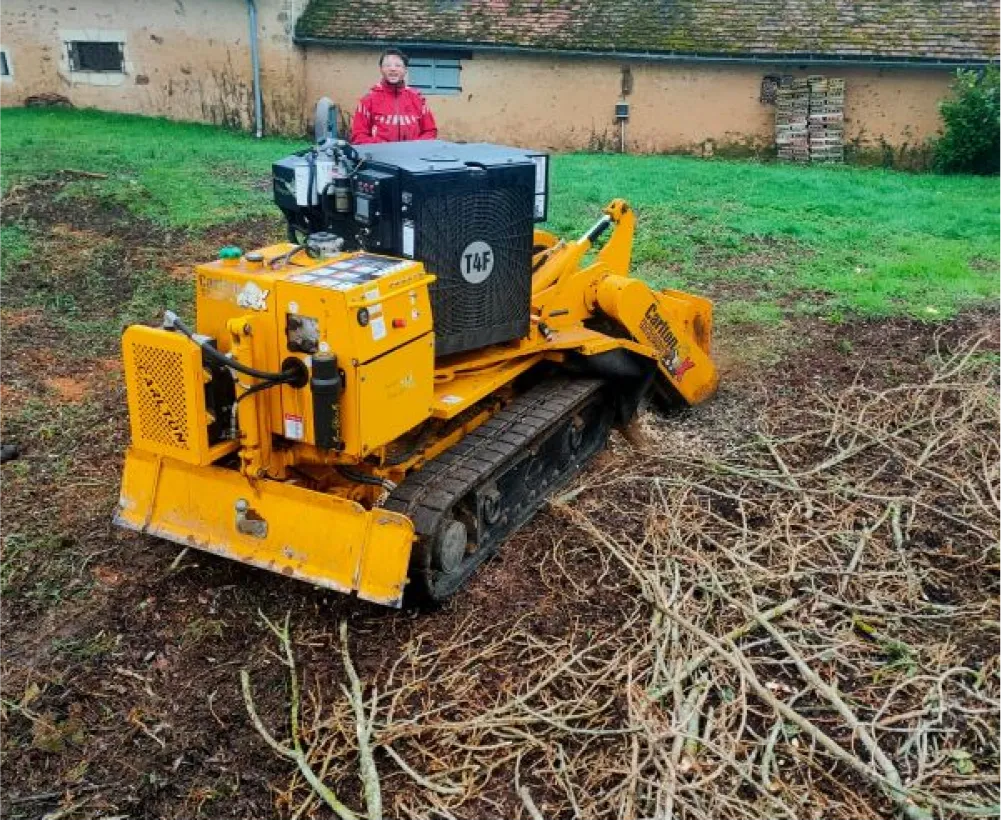 Auriau Elagage Elagueur Dans La Sarthe 72 Rognage De Souches 06