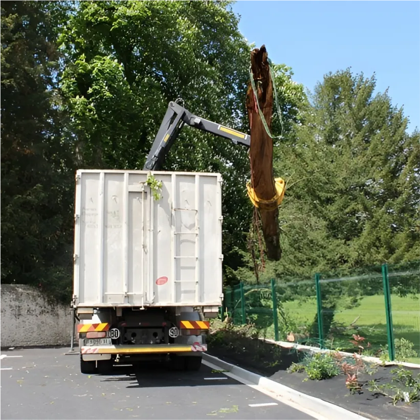 Auriau Elagage Elagueur Dans La Sarthe 72 Bloc Anime 1