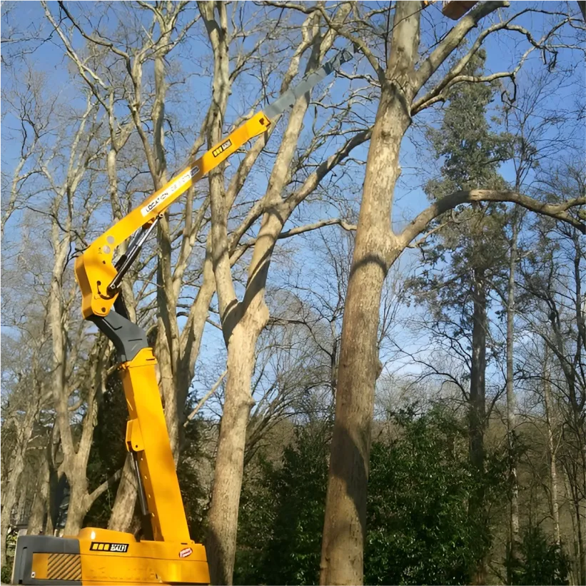 Auriau Elagage Elagueur Dans La Sarthe 72 Bloc Anime 5