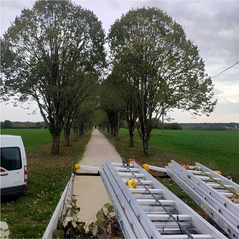 Auriau Elagage Elagueur Dans La Sarthe 72 Bloc Anime