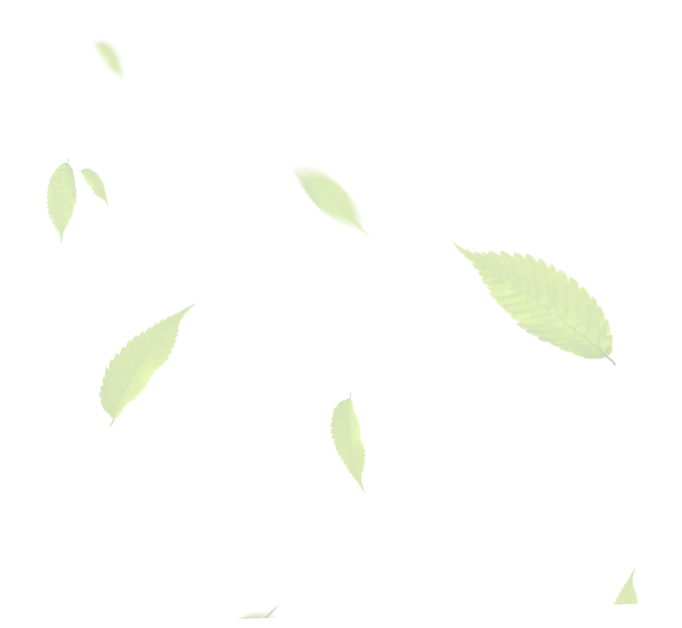 Auriau Elagage Elagueur Dans La Sarthe 72 Fon Listja 4