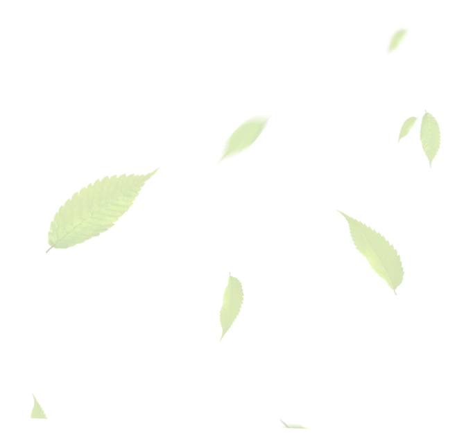 Auriau Elagage Elagueur Dans La Sarthe 72 Fon Listja 5