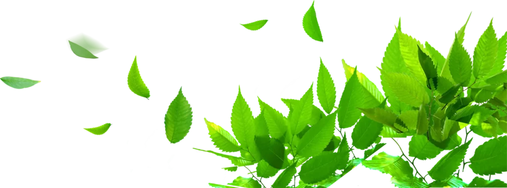 Auriau Elagage Elagueur Dans La Sarthe 72 Pngegg 2025 10 13T123959.251 2